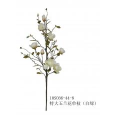 magnolia flower white